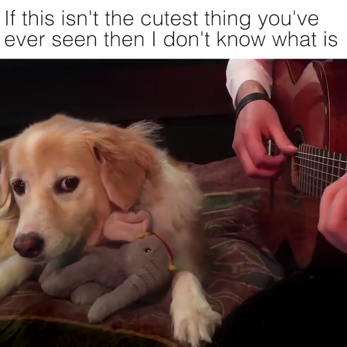 Peaceful Music 9GAG