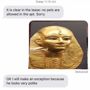 No Pharaohs Allowed Meme Cropped With A Phone Sry Gag