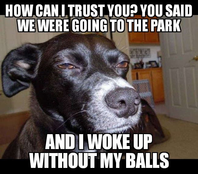 No Balls Allowed - 9GAG