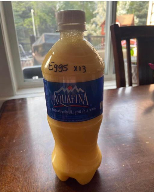 Best camping or “vaning” hack ever? 13 eggs ready to scramble 👀 and