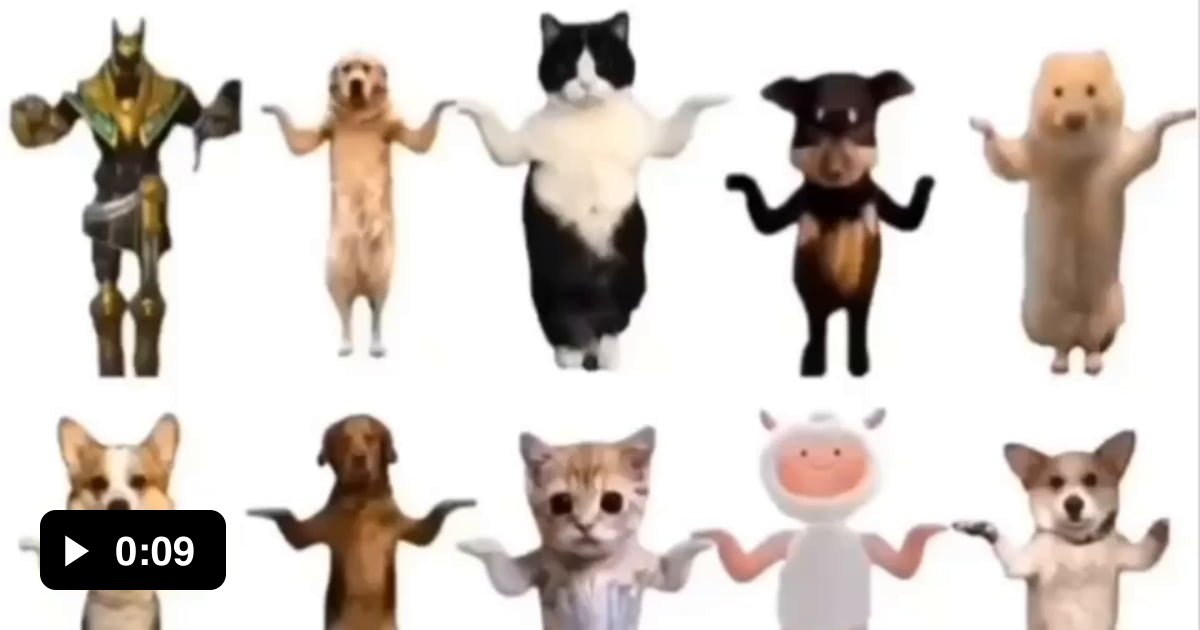 Animals dancing to chinese song #洗澡舞 #trending #viral #tiktok # ...