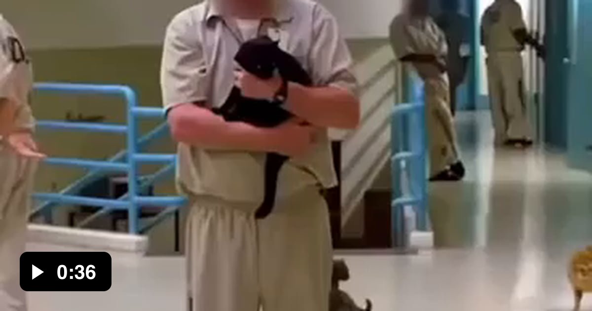Prisoners allowed to adopt cats The idea behind this initiative is to