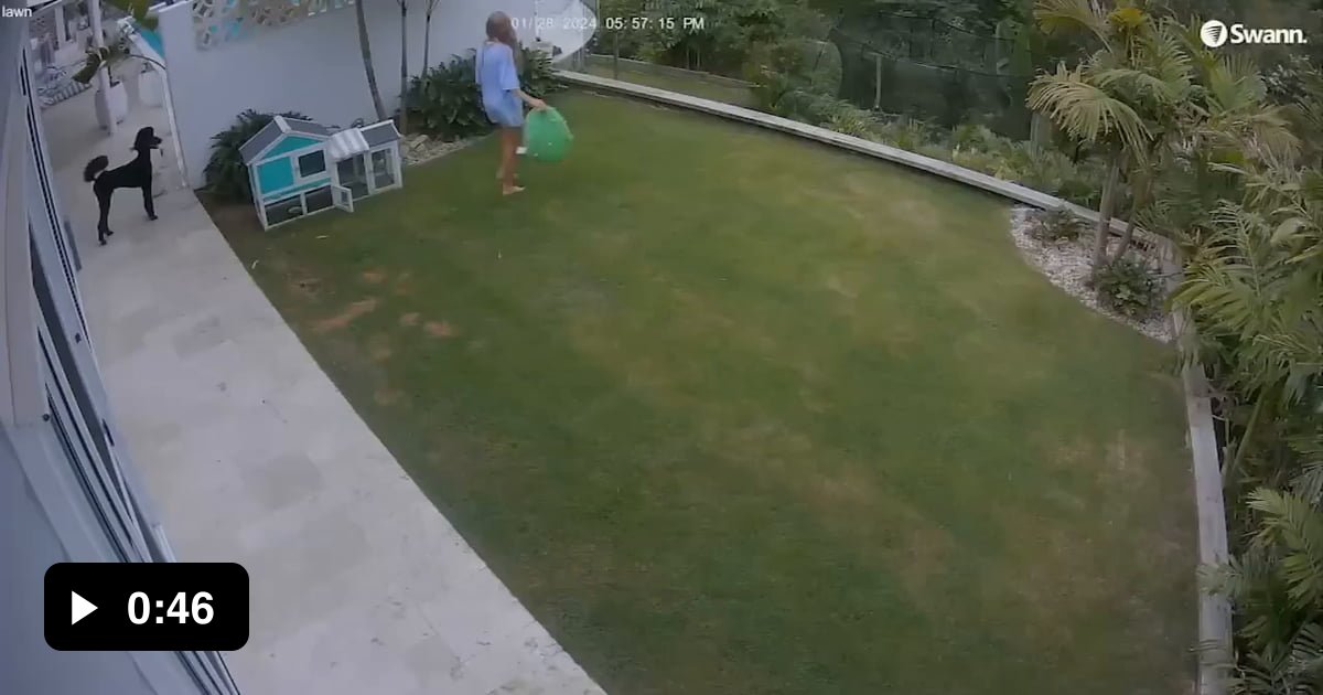 Girl swings snake by the tail in effort to save guinea pig 9GAG