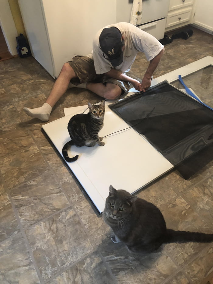 Pet screen installer - 9GAG