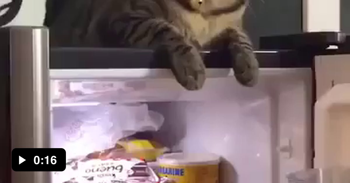 Leave the fridge open! 9GAG