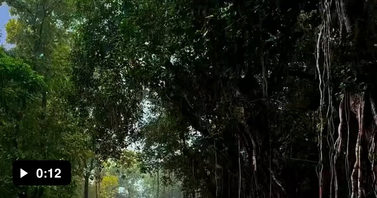 Cherukara Railway Station in Kerala, India - 9GAG