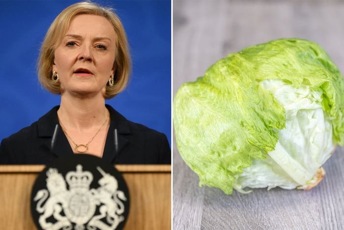 Breaking News - Lettuce Outlived Liz Truss - 9GAG