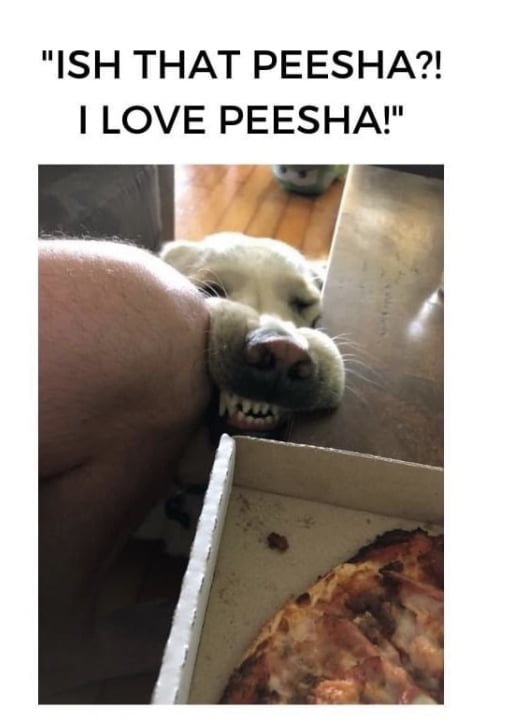 #peesha - 9GAG