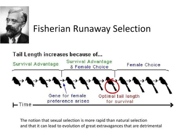 Evolution - 9GAG