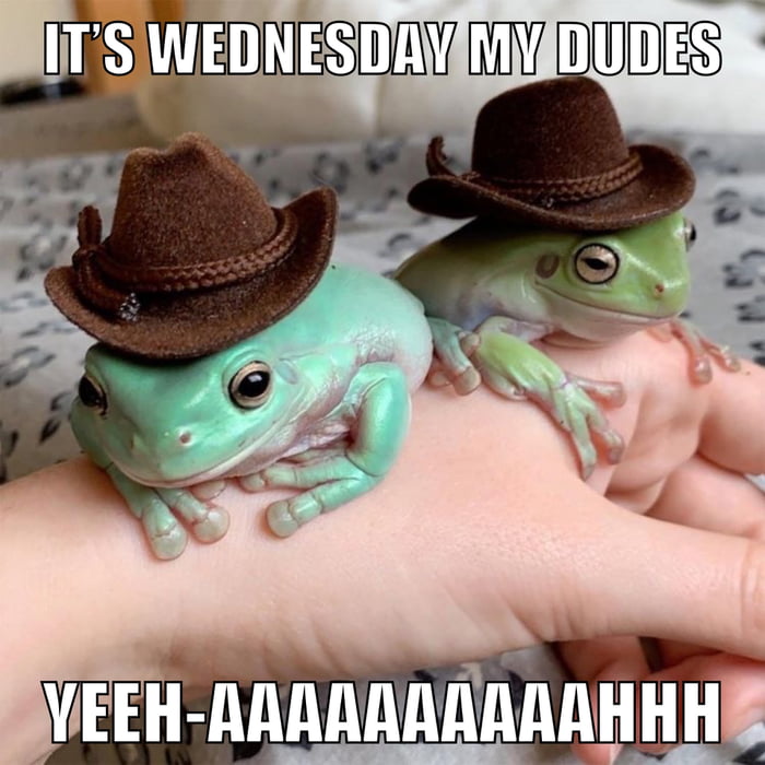 It’s Wednesday my dudes. 9GAG