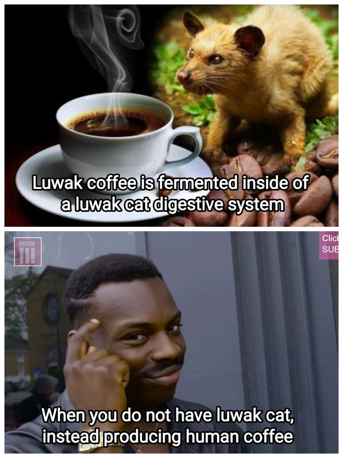 So i started to eat raw coffee beans 9GAG