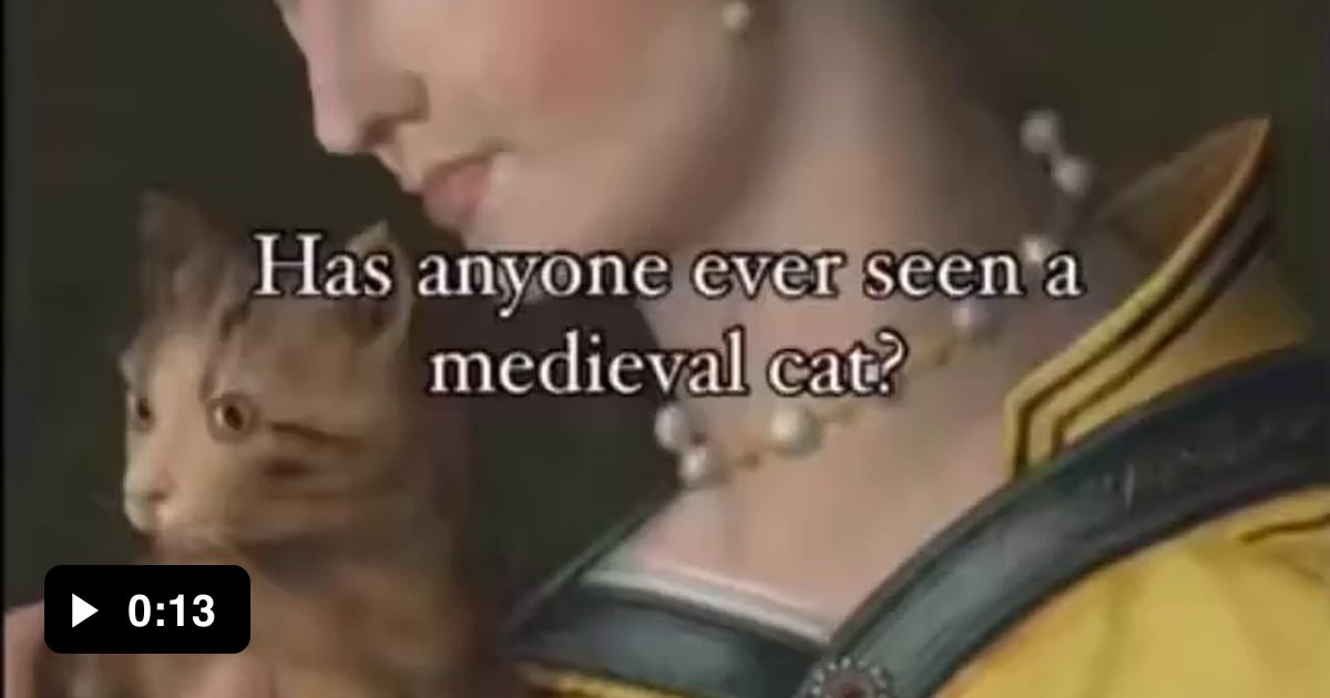 have-you-ever-see-medieval-cat-painting-well-here-you-go-9gag