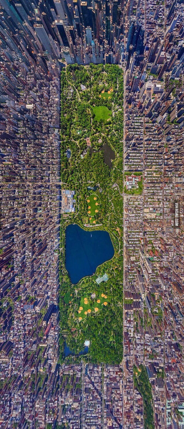 the-central-park-is-bigger-than-my-country-9gag