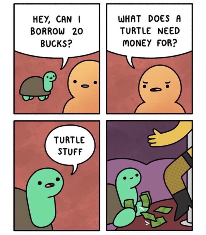 Turtle - 9GAG