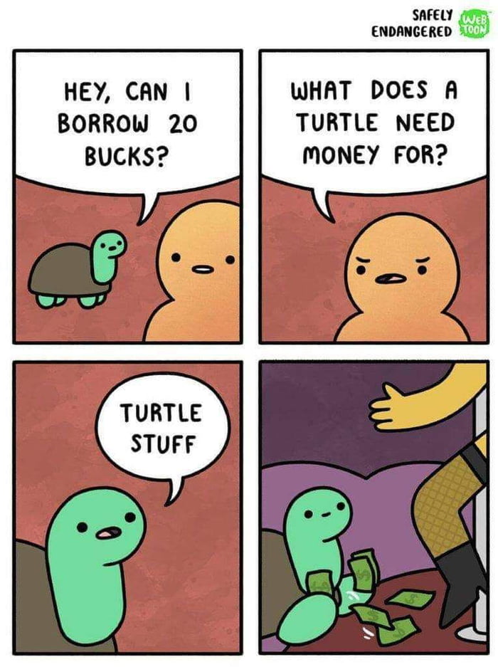 Turtle stuff - 9GAG