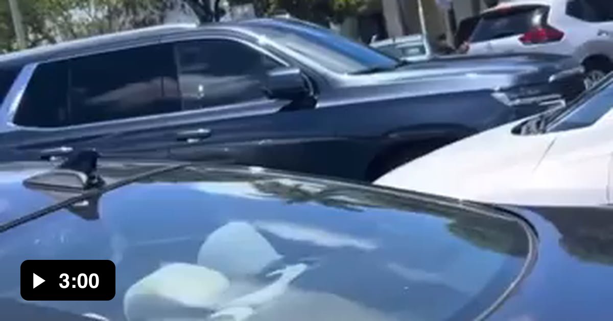 Man films two women in an altercation in parking lot. One of them then ...