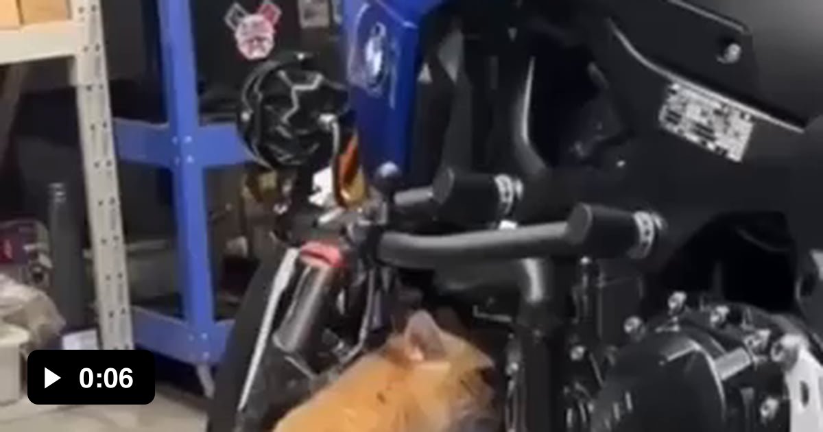 Why is this engine not purring? - 9GAG