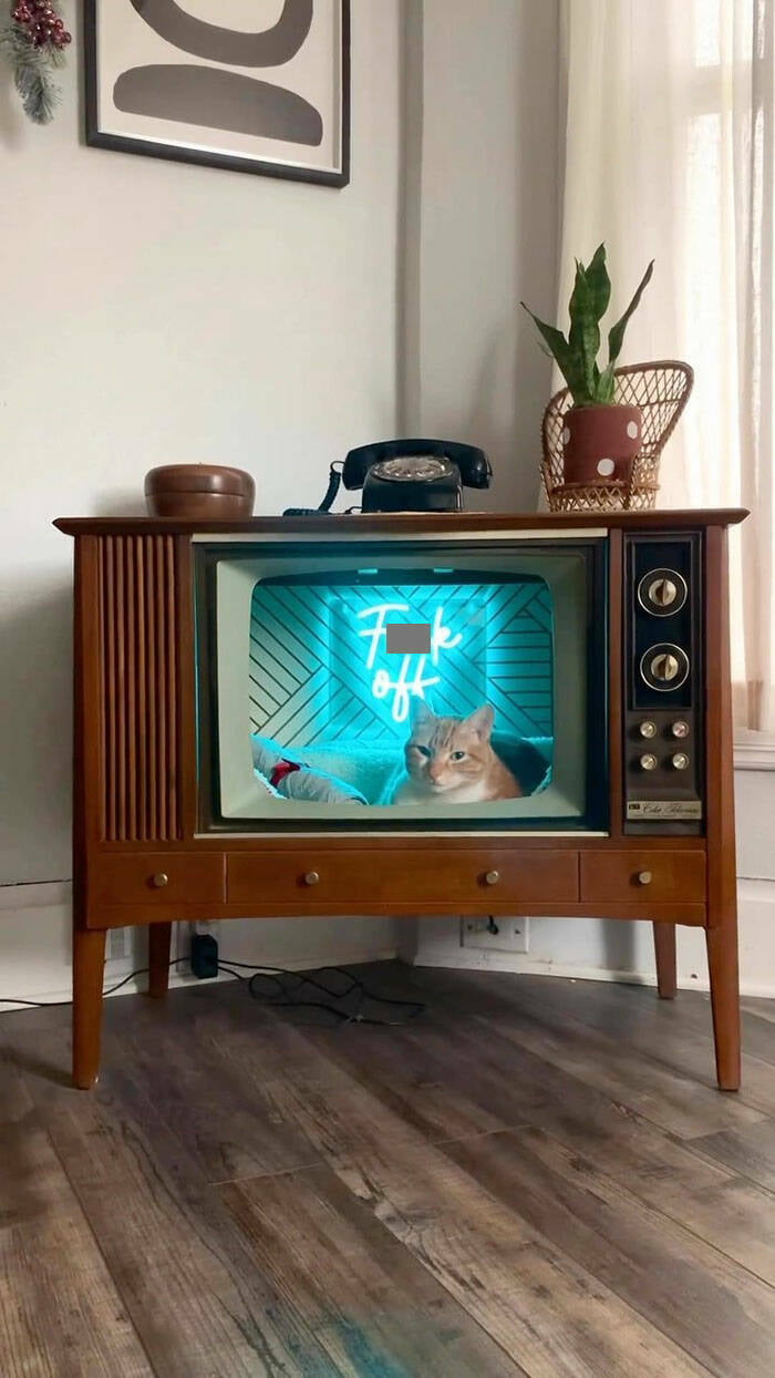 Cat tv - 9GAG