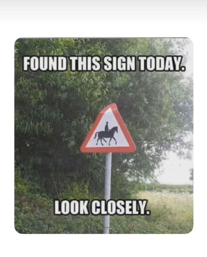Appeared Pic A wild pic appeared - 9GAG