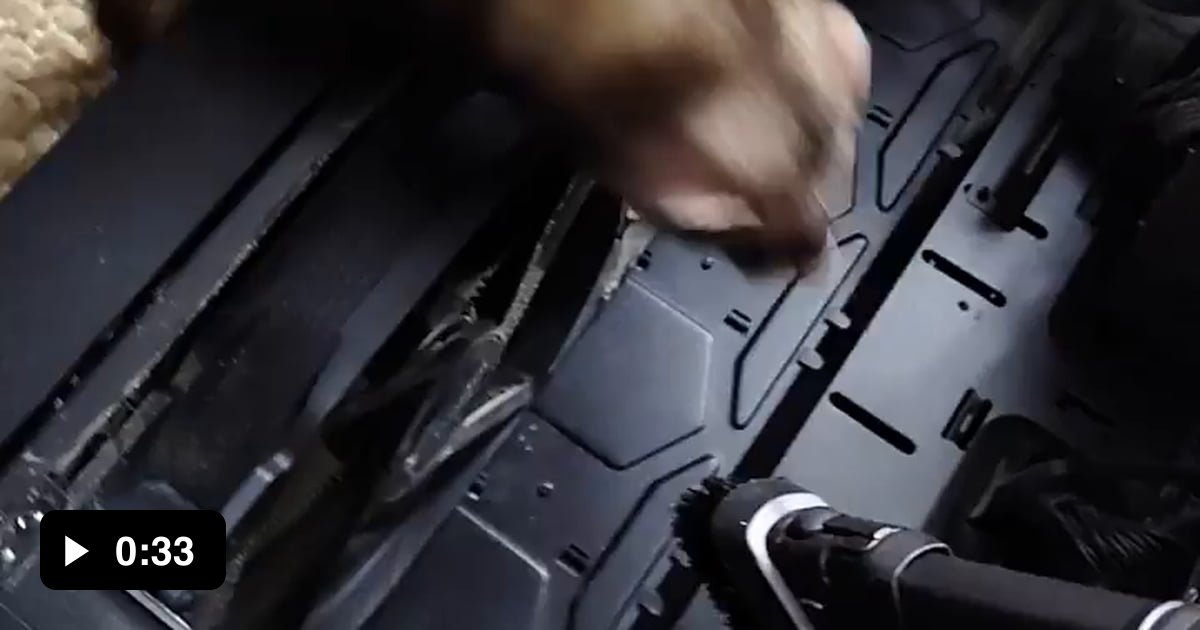 The 