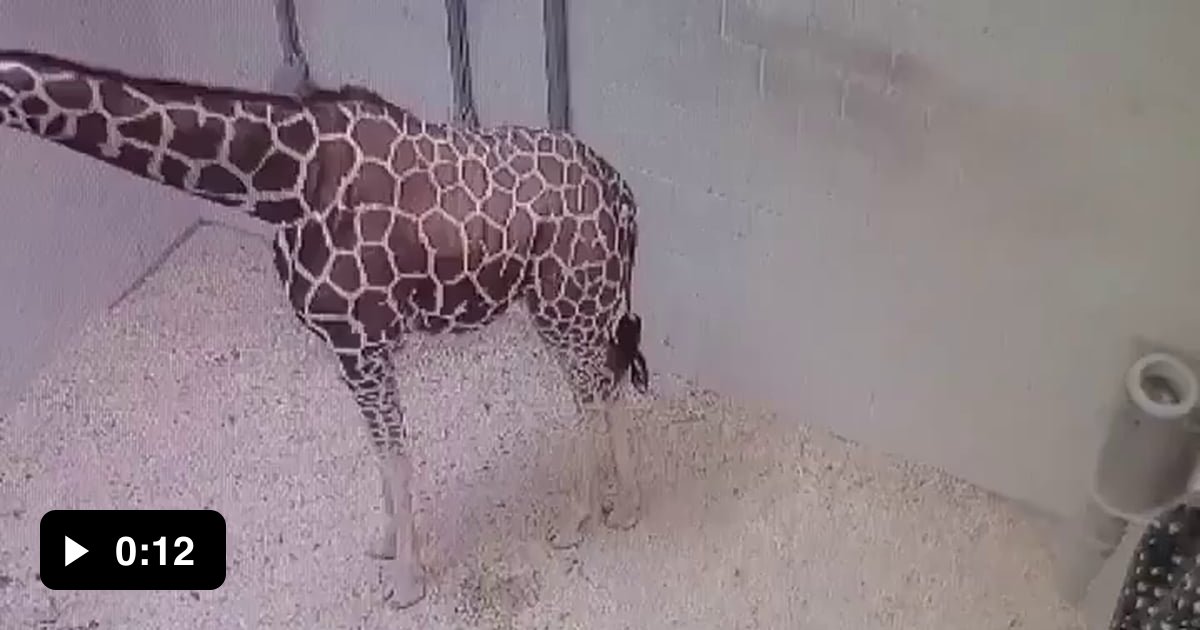 Let me check out this room