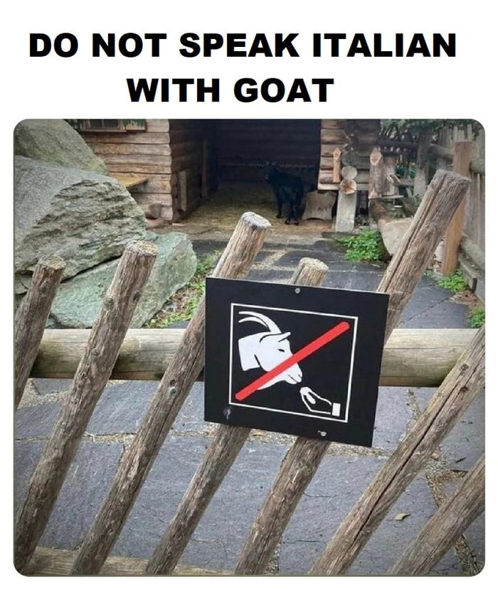 Do not speak Italian with goat 9GAG