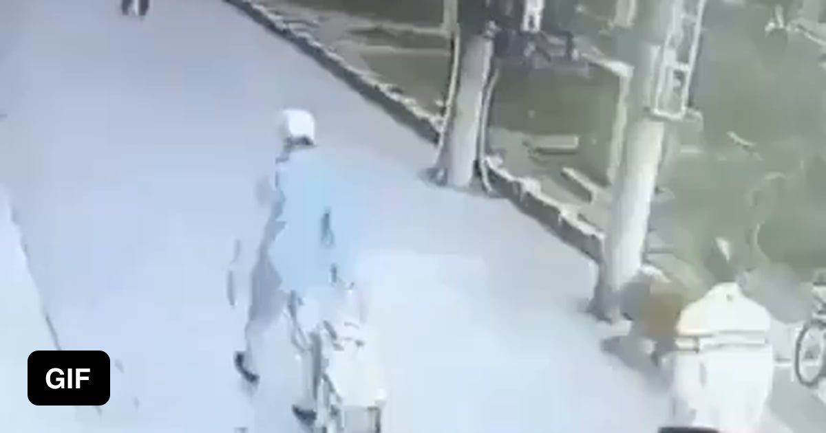 A cat falls on man’s head and a dog wearing shoes shows up 9GAG