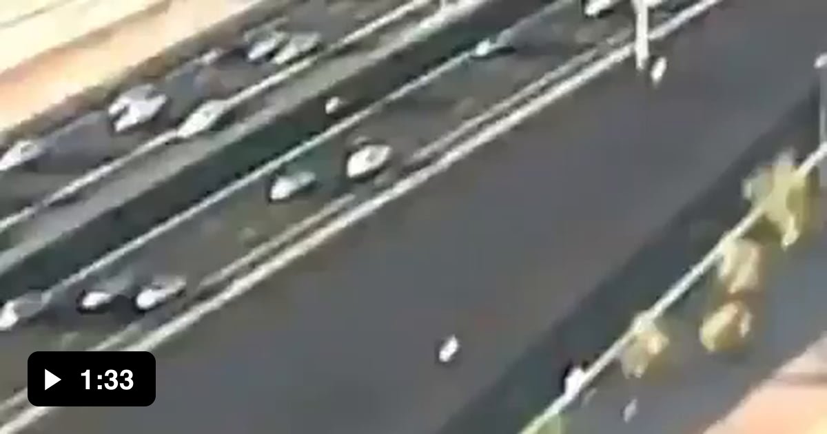 Amazing Rescue Of A Puppy On Highway 9GAG
