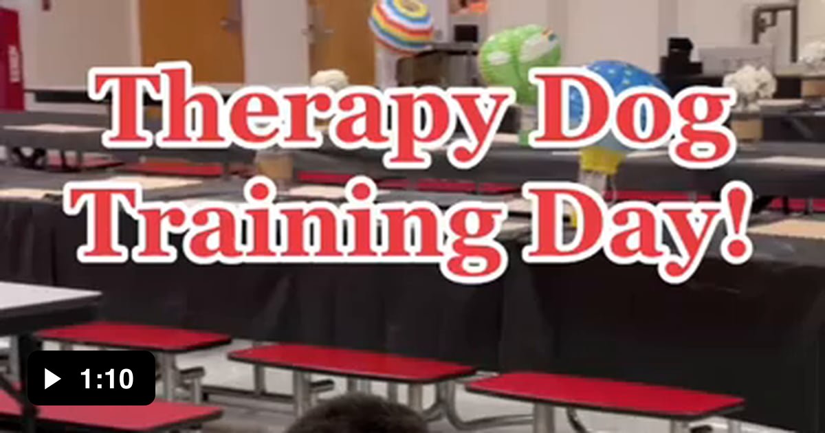 group-training-for-therapy-dogs-9gag