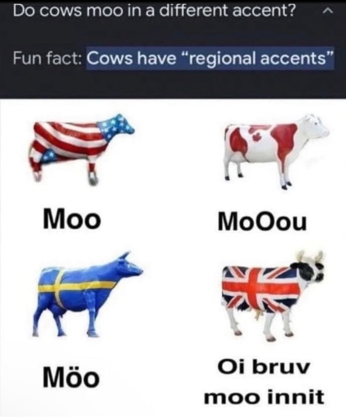 Bo ol O Wo ah Innit 9GAG