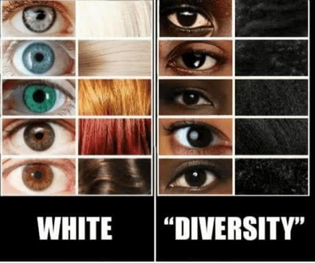 Diversity Is Out Strenght Gag