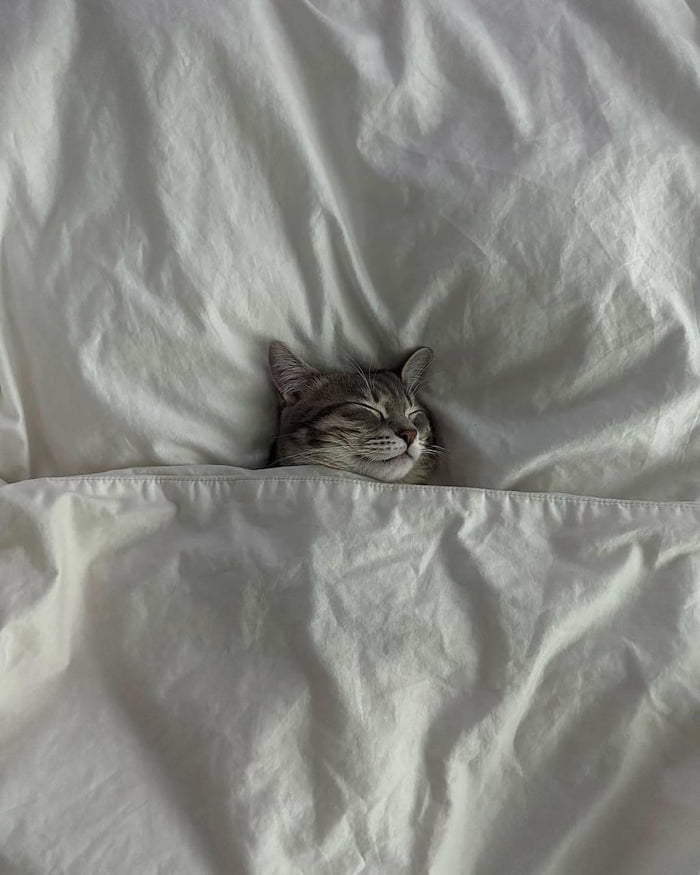 On a cold day he likes to sleep a lot - 9GAG