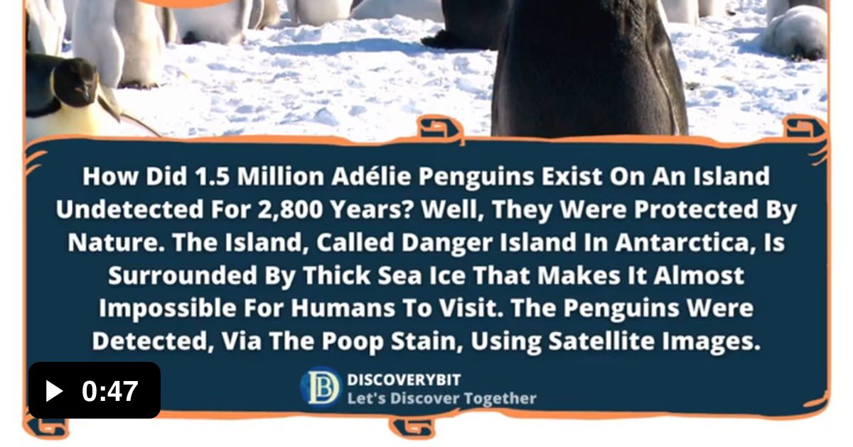 Penguins: The Mystery Of Danger Island / Antarctica is home to several