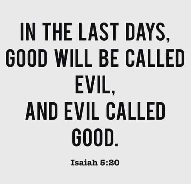 verse-of-the-day-in-2020-isaiah-25-amplified-bible-bible-apps