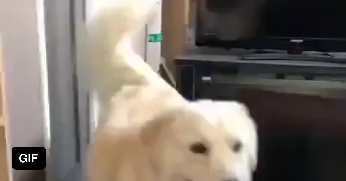 When You Walk Into A Room And Forget Why You re There 9GAG