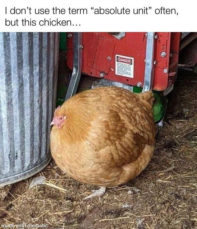 Chicken - 9GAG