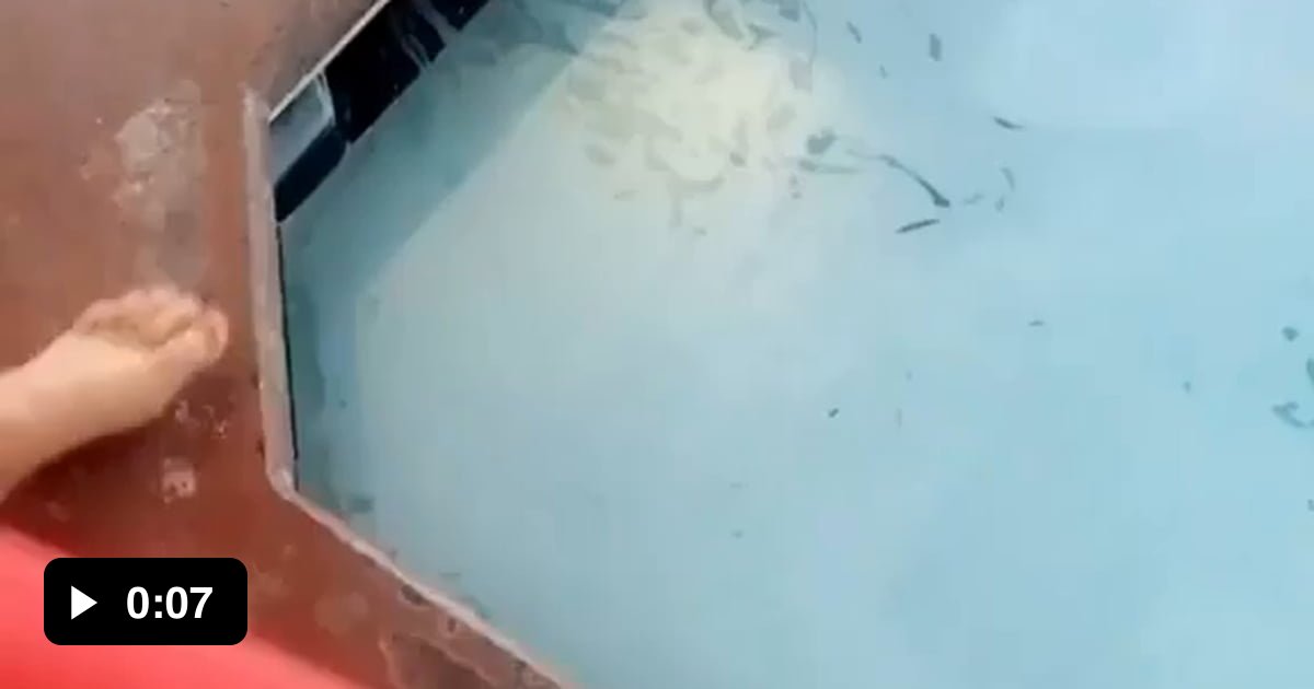Clearing pool surface using soapy foot 9GAG