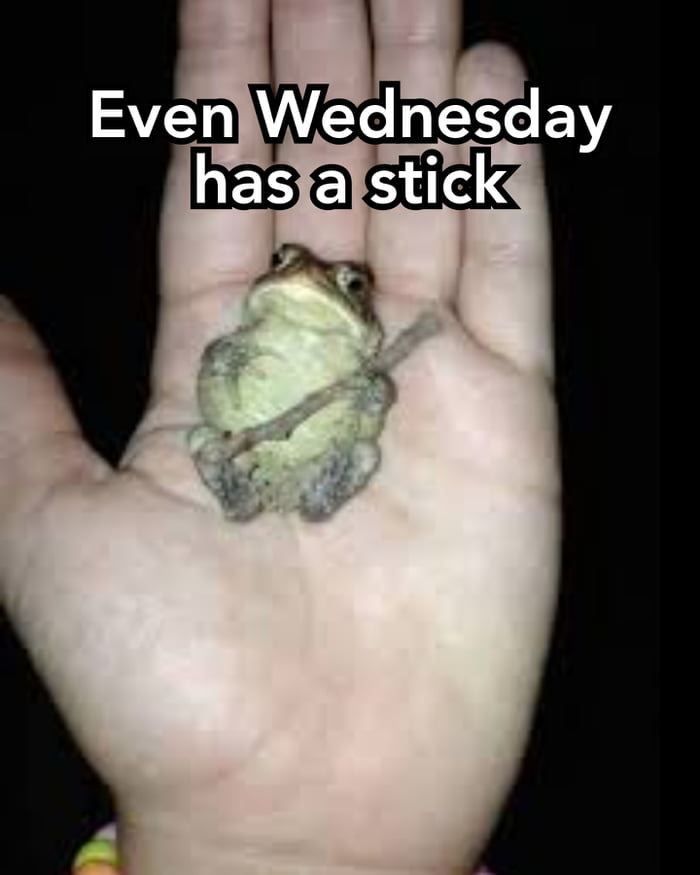 Just can't seem to get away from them, now even the frogs have them. 9GAG