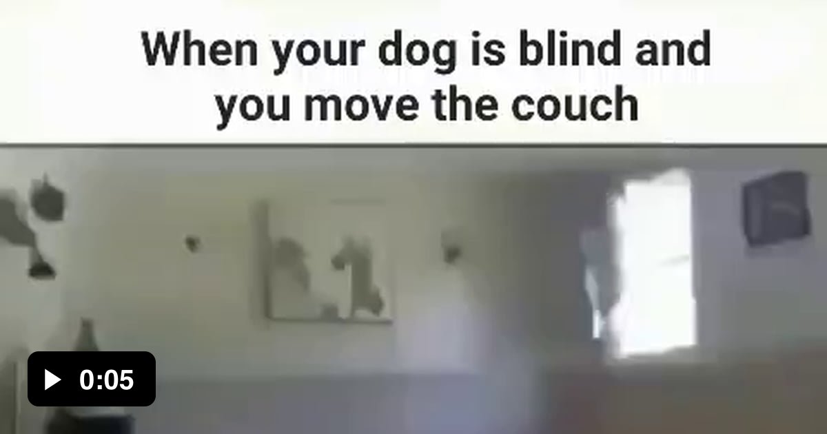I feel bad for even laughing - 9GAG
