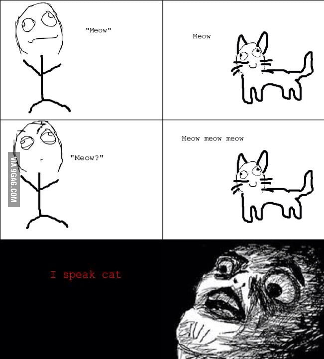 I am a cat whisperer.. - 9GAG