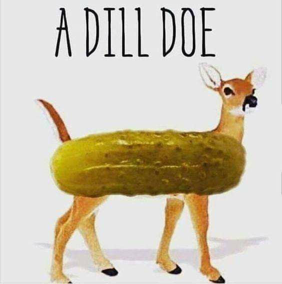 A dill doe 9GAG