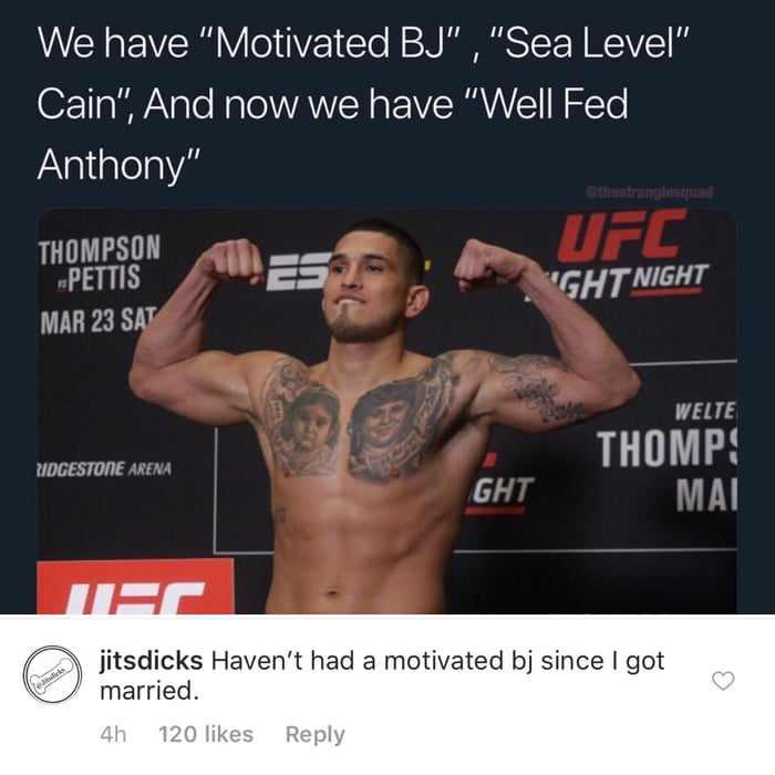 MMA MEMES - 9GAG