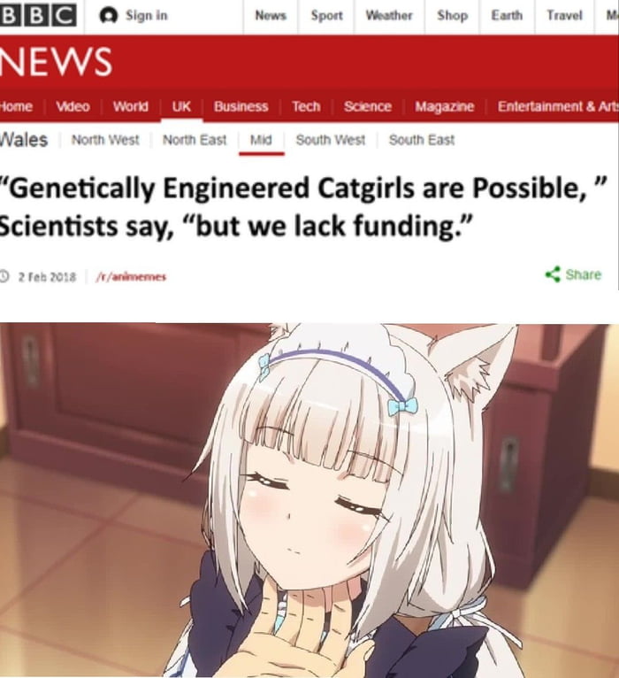 Regarding Genetically-Engineered Catgirls: : r/Animemes