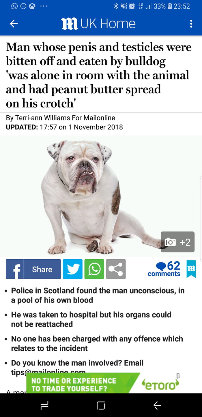 van wilder bulldog balls