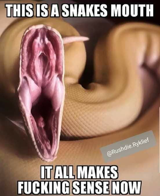 aA3xMQZ_700b.jpg