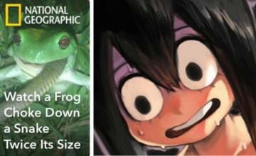 Don't lewd the froggo - 9GAG