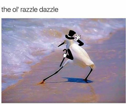 Give 'em the old Razzle Dazzle: Everybody's talking when they see me walking