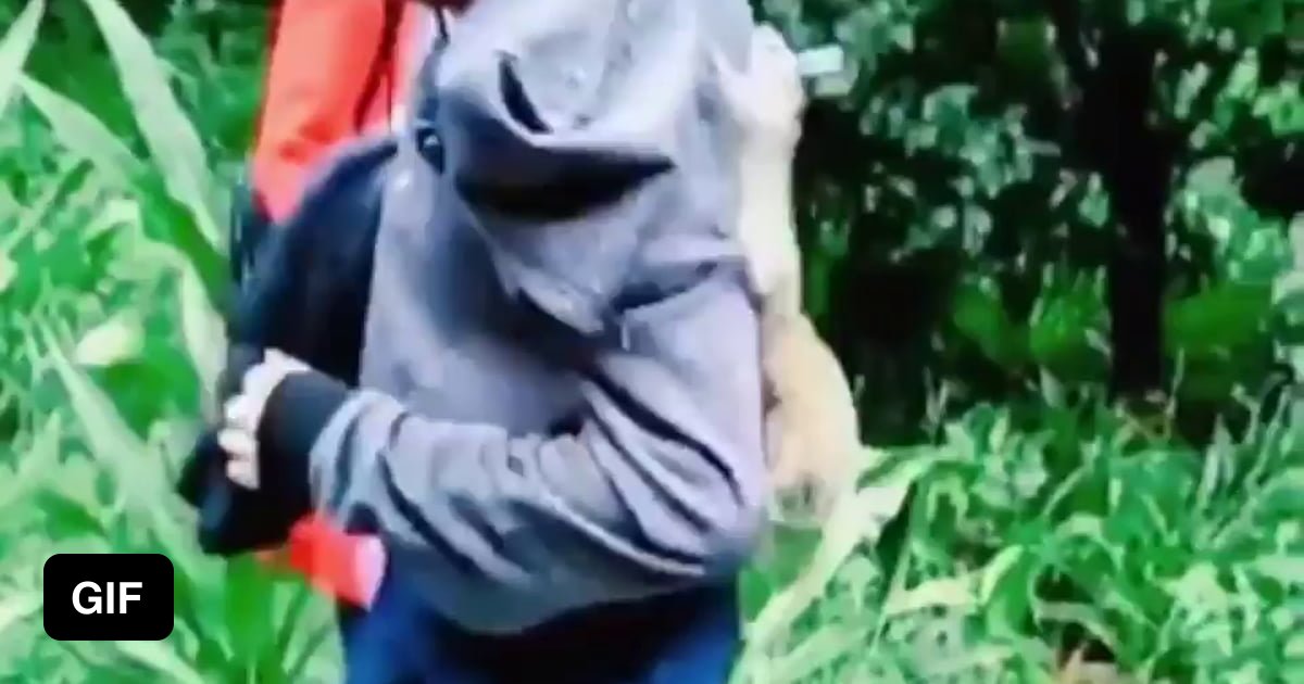 Squirrels in my pants 9GAG