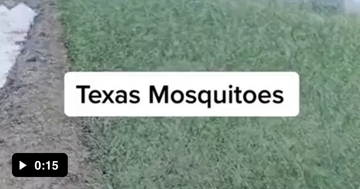 why-do-mosquitoes-bite-some-people-more-goodrx