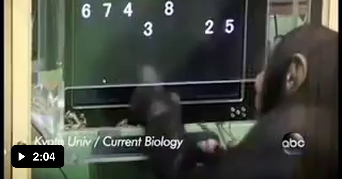 Chimp shows better short term memory compared to human - 9GAG